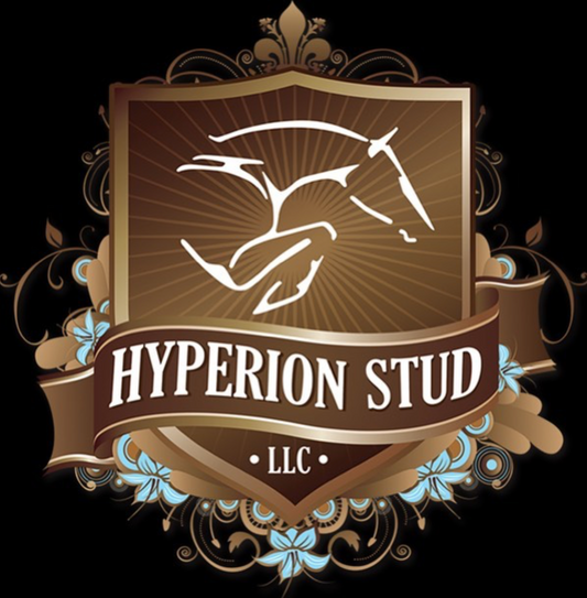 HYPERIAN STUD, USA